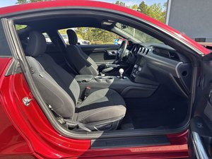 Ford Mustang EcoBoost RWD 2020 Usado en Buen Estado - Product Image 4