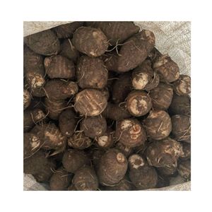 Tươi khoai môn Việt Nam nhà máy giá rẻ nhất tươi khoai môn nóng bán rau tươi chất lượng cao cấp khoai môn gốc tại Việt Nam - Product Image 5