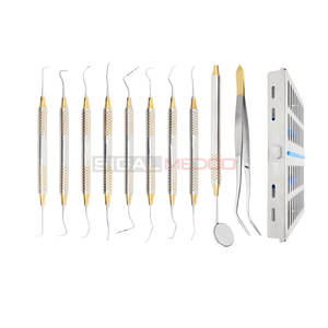 Kit de Instrumentos para Higienistas Dentales, 10 Piezas, Manual, Acero Inoxidable Alemán, Casete de Esterilización, Profesional, Profilaxis - Product Image 2