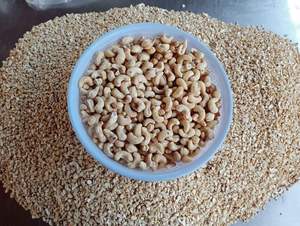 W210 Snack de noix de cajou biologique du Vietnam sans OGM, noix grillées et séchées, prêt à être expédié - Product Image 5