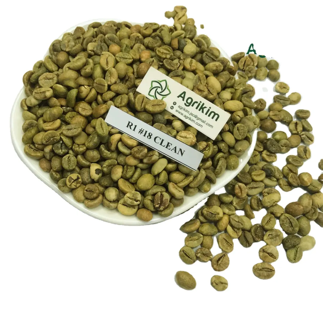 Best Quality Promotional Raw Coffee Bean 100% Natural Color Premium Quality Robusta screen 18