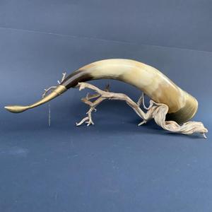 Polished 100% Original Ox Horn Handmade Eco-Friendly Dishwasher Safe Christmas Beer Mug for Parties Picnics & Travels - Product Image 1