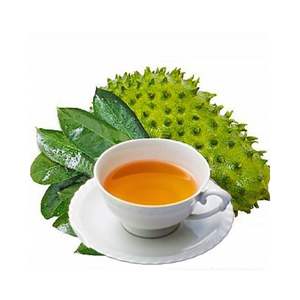 Prix le plus bas garanti! Feuilles de Corossol fraîches et séchées Tisane de qualité supérieure Meilleur pour votre santé Expédition rapide dans le monde entier - Product Image 4