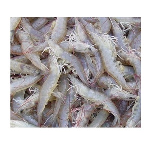 Crevettes Vannamei congelées sans tête ni peau, traitées BQF, en vrac, 20 kg, haute qualité, bon goût - Product Image 5