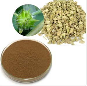 Mejor venta 100% Pure Tribulus Terrestris extracto en polvo India Wild Drum contenedor de plástico para mejorar la función sexual al por mayor - Product Image 5
