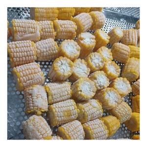Maíz congelado de primera calidad dulce y jugoso, conveniente para cocinar rápidamente, conserva el color natural y el sabor fresco directamente de la granja - Product Image 2