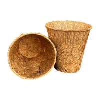 Pot de pépinière en tourbe de coco Conteneur de plantes en fibre de coco durable pour la plantation de légumes et de fleurs