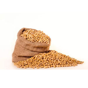 Soja frais biologique sans OGM en vrac riche en nutriments pour la transformation des denrées alimentaires et des aliments pour animaux. - Product Image 4