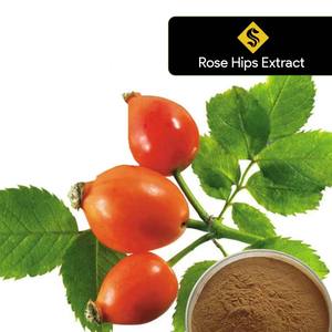 Poudre d'extrait de rose de hanche séchée par vente chaude à un prix abordable. - Product Image 1