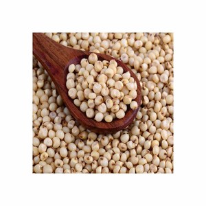 Fabricants De Grains De Sorgho En Thaïlande - Product Image 4