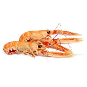 Langostinos Escampados de Noruega Congelados en Caja, 18 Meses de Duración, Contenido de Proteína para Uso Alimentario - Product Image 3