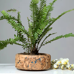 Jardinière plate en liège Aqua personnalisable Pots de fleurs et jardinières de table pour la maison, l'usage commercial et résidentiel à des fins décoratives - Product Image 1