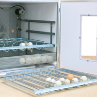 Nouvel incubateur entièrement automatique de haute qualité fabriqué en Italie pour 196 œufs de poule Mini PRO 196 DU 220V
