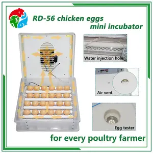 High Hatching Rate 56 Eggs Automatic Mini Chicken Egg Incubator/solar Chicken Egg Incubator