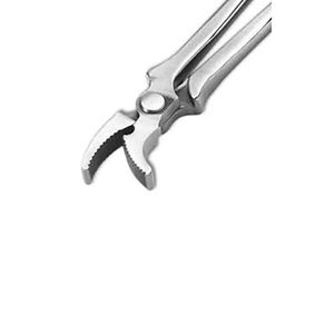 Horse Products Clou de sabot noir mâchoire incurvée outil de sabot de maréchal-ferrant vétérinaire extracteur de chaussures 12 "outils de maréchal-ferrant 2025 personnalisé - Product Image 1