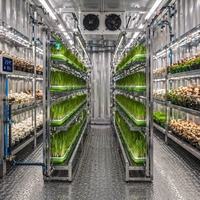 Grand conteneur vertical intelligent pour la culture de légumes, usine de culture hydroponique automatisée, couvercle en acier inoxydable 304 pour la laitue