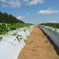 Heetverkopende op maat gemaakte landbouwfolie, PE transparant met UV-stabilisator, duurzaam, milieuvriendelijk, zacht en vochtvast.