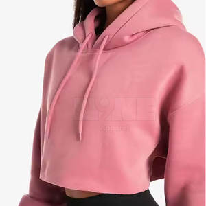 Top vente haute qualité Street Wear Crop Top Hoodies Design unique doublé à capuche pour l'hiver - Product Image 4