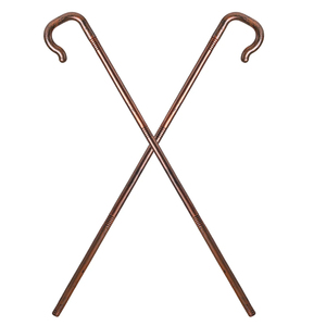 Puntas de bastones decorativos de plástico marrón oscuro, accesorios de Halloween para puesta en escena, Cosplay, instrumentos quirúrgicos veterinarios - Product Image 2