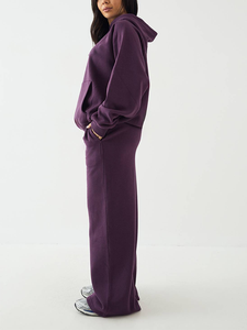 Conjunto de Ropa Deportiva Informal para Mujer, Estilo Holgado, Tejido Grueso, Sudadera con Capucha de Felpa Francesa y Pantalones Anchos Lisos - Product Image 2