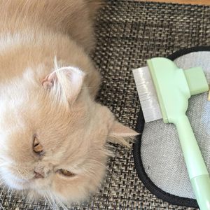 1 Guante de Aseo Reutilizable para Eliminar el Pelo de Mascotas, Gatos y Perros, Herramienta de Cepillado, 1 Peine para Gatos y Perros para Eliminar el Pelo de Mascotas - Product Image 6