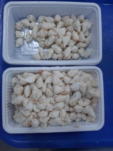 VIANDE DE CRABE SAUVAGE/FRUITS DE MER EN CONSERVE/TRANSFORMATION PROPRE - Product Image 5