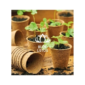 Top Grade xơ dừa nồi phát triển <span class=keywords><strong>container</strong></span> cho đô thị nông nghiệp và nâng cao trồng thành công trong <span class=keywords><strong>2025</strong></span>. - Product Image 1