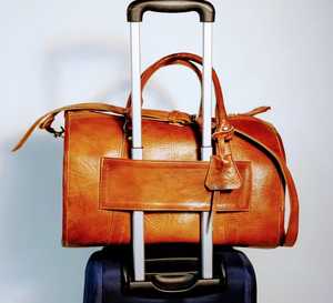 Sac de transport multifonctionnel en cuir de qualité supérieure pour animaux de compagnie de petite taille, LPB-0022 rehausseur de siège de voiture pour chiots et chats - Product Image 5