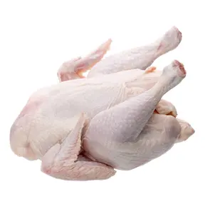 Pure Quality Frozen Halal Whole Chicken And Chicken Parts France Supplier Bulk Online Sale