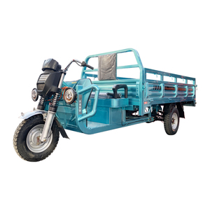 Motocyclette à 3 roues pour adulte cargo en Chine, <span class=keywords><strong>taxi</strong></span>-camion pour adultes, tricycle électrique pour passagers Eec <span class=keywords><strong>2</strong></span> personnes, 1200w - Product Image 1