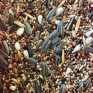 Mélange de graines pour oiseaux bio à haute teneur en protéines pour perruches, canaris et perroquets - Millet jaune, soutien immunitaire, santé digestive, compléments alimentaires - Product Image 5