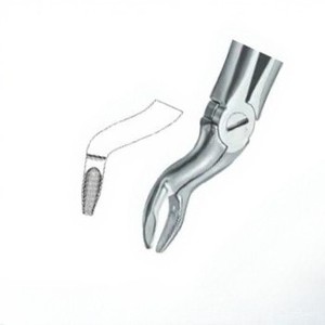 Pince à extraire les dents Fig67 N Meilleure qualité Logo personnalisé Produits Instruments dentaires en acier inoxydable - Product Image 5