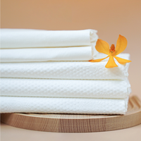 Kawaii Compact Disposable Quick-Dry Eco-Friendly Blue/White/Pink Bath Towels Set for Summer Travel & Beach Use