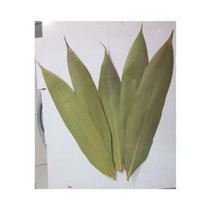 Feuilles de bamnoo séchées à la feuille de bambou naturel vert séché au soleil de qualité supérieure pour emballer un gâteau traditionnel - Product Image 6