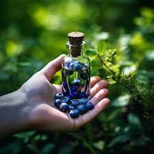 น้ำมันหอมระเหยกลิ่นบลูเบอร์รี่บริสุทธิ์100% ผ่านการรับรองจากธรรมชาติสำหรับน้ำมันหอมระเหย - Product Image 3