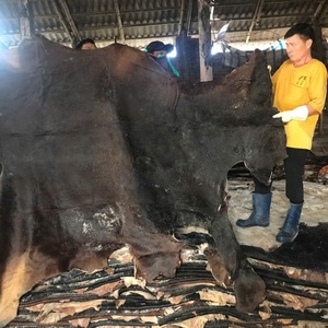 Chất lượng hàng đầu ướt và khô Muối bò ẩn ướt Muối trâu ẩn cho doanh số bán hàng - Product Image 2