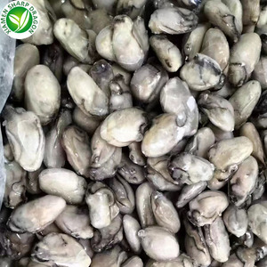 SD IQF Đông Lạnh Thịt Hàu Từ Trung Quốc Đóng Hộp Nước Ngọt Hàu - Product Image 6