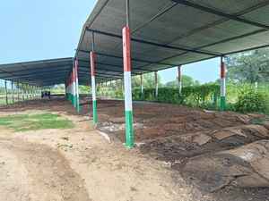 ปุ๋ยอินทรีย์ปุ๋ยหมักเวอร์ม1กก. จากอินเดีย - Product Image 3