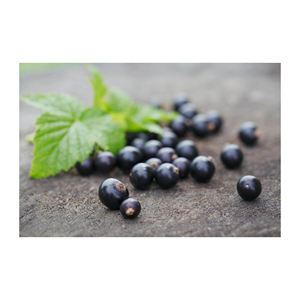 Black currants supplied for global buyers of superfoods and dried fruits - Product Image 6