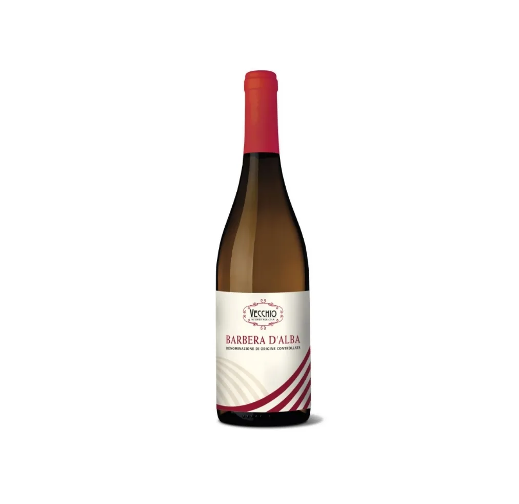 DOC vino rosso italiano Barbera d'Alba vini secchi in bottiglia di vetro salumi formaggi stagionati alla griglia di carne Piedmont 2021 vintage