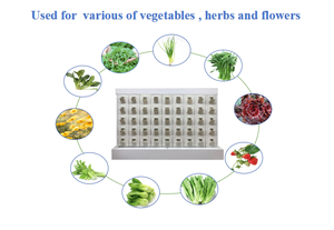 Sistemas Hidropónicos de Alta Eficiencia Energética con Torre Aeropónica para Agricultura Vertical Interior y Agricultura Inteligente - Product Image 4