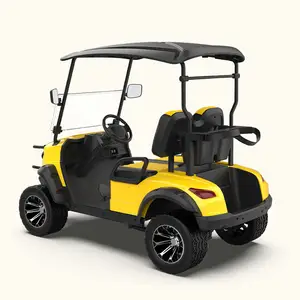 Mini coche eléctrico 2 + 2, carrito de golf con batería de 4 plazas