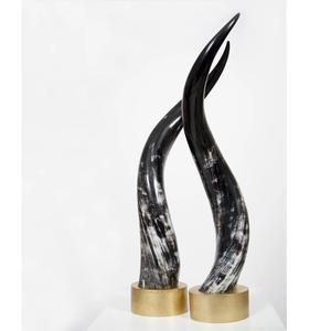 Lámpara de Pared Decorativa de Cuerno de Búfalo Natural Premium con Iluminación Hecha a Mano y Tamaño Personalizado - Product Image 4