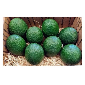 Avocats frais biologiques Hass au meilleur prix, stock en vrac disponible avec emballage personnalisé - Product Image 6