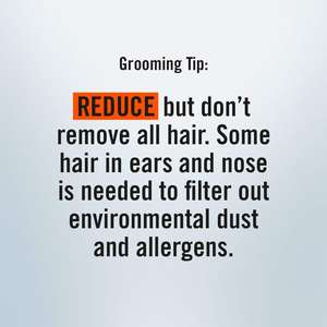 Recortadora de Nariz y Orejas Portátil con Batería, Accesorio de Afeitado, Plástico Negro, USB/Eléctrica, Manual, para Uso Doméstico, en Autocaravanas y Garajes - Product Image 4