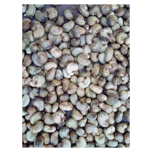 Vente en gros de coquille de noix de cajou stock en vrac premium grade expédition rapide fournisseur fiable - Product Image 4