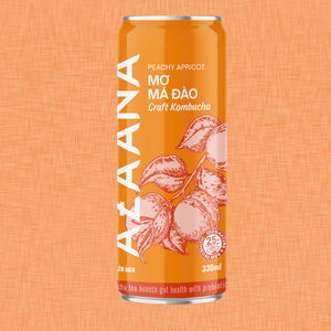 Premium Peach Apricot Kombucha Tea Best Vietnam-Origin Refrigerado Listo para beber Refresco concentrado - Product Image 3