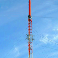 Tour de communication de haute qualité marque fil galvanisé antenne cellulaire montage à vis 2 * n connecteur femelle hauteur personnalisable