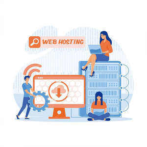 Service de hébergement et de protection de domaines sécurisés pour plateformes de solutions de serveurs de sites Web professionnels et gestion de l'accessibilité des sites Web - Product Image 1