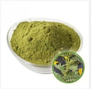 ผงขี้เหล็ก obovata จากอินเดีย - Product Image 6